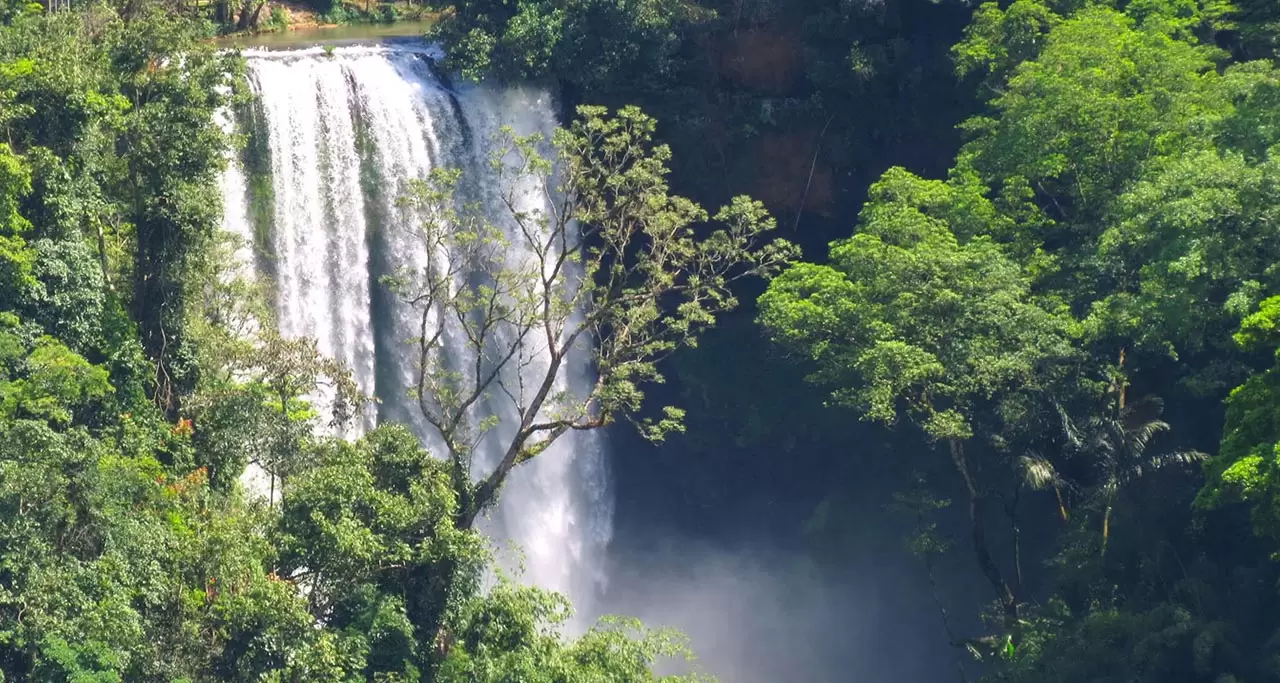 Dambri Waterfall one of two waterfalls in Vietnam in list of 15 most charming cascades in the world.