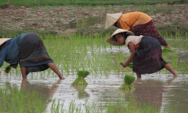 Authentic Laos Travel