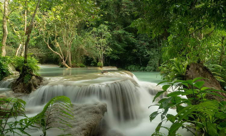 Best of Laos Tour