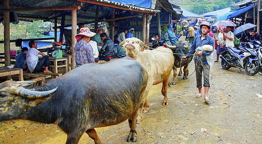 Vietnam Train Journey