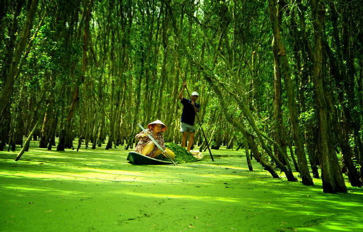 People using motorboat to explore Tra Su Forest Chau_Doc_ Tra-su-forest