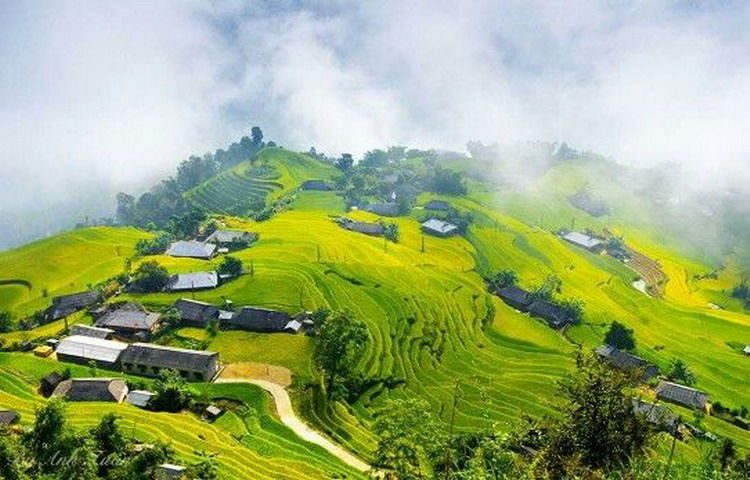vietnam-hagiang-4-jpg-1 Ha_Giang_ Green-terraced-rice-fields