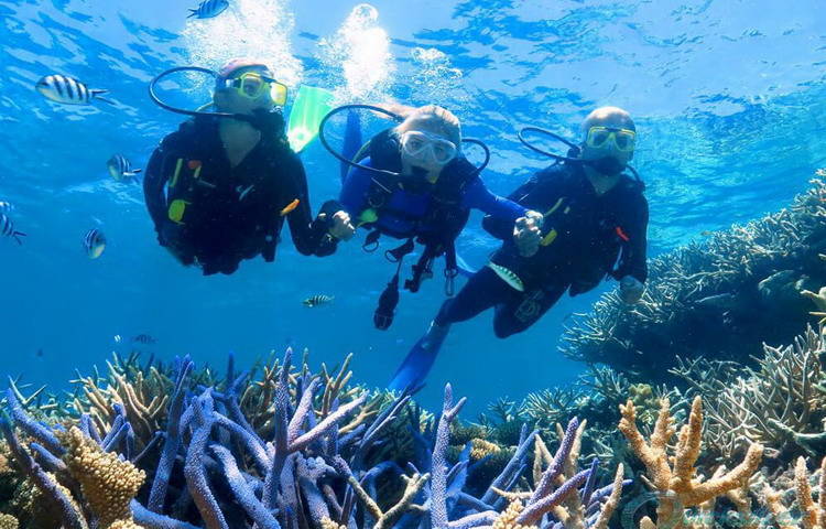 Snorkeling to admire marine life is a worthy experience in Phu Quoc island Phu_Quoc_ snorkeling