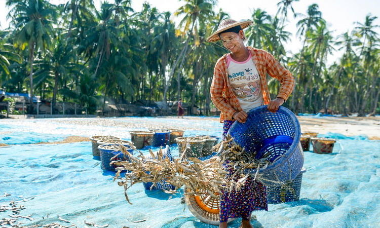 Ngapali Beach Myanmar