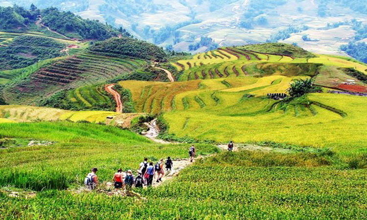Ha Giang