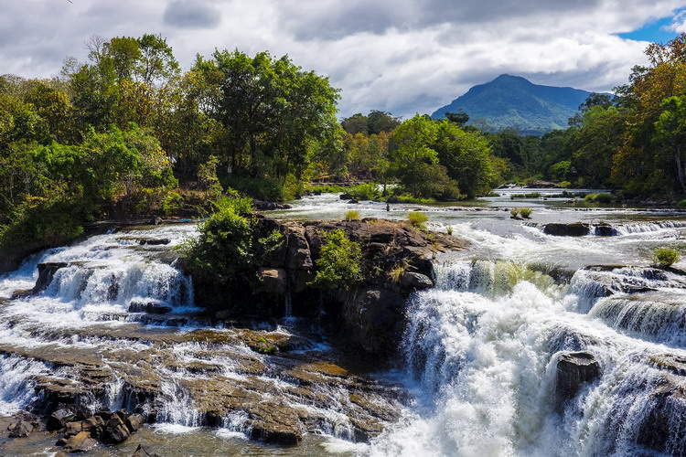 Bolaven Plateau