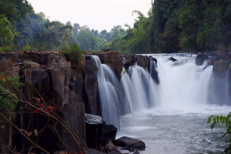 Bolaven Plateau