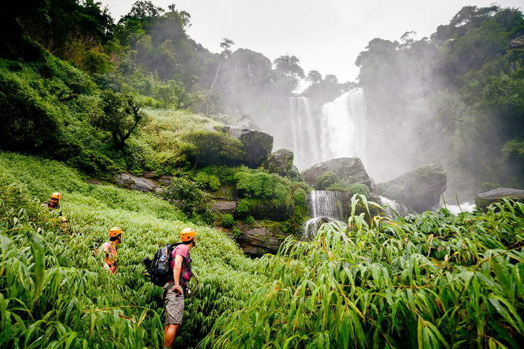 Bolaven Plateau