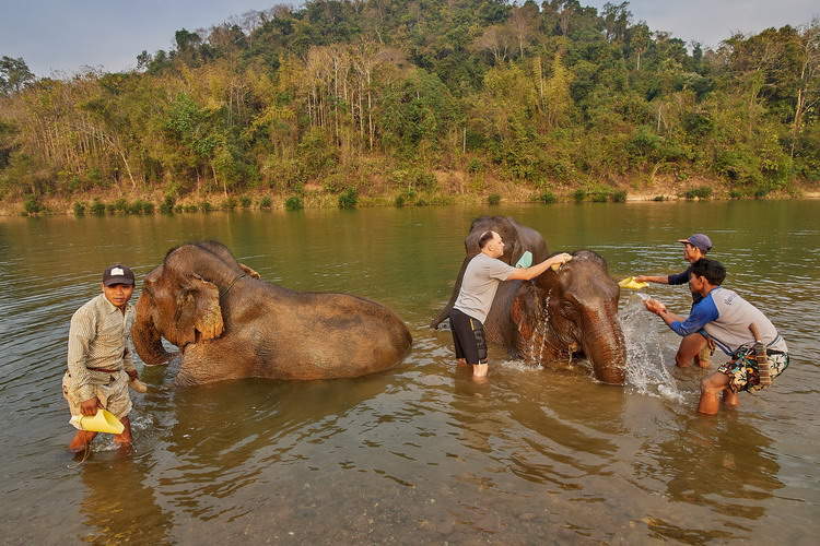 Elephant Village in Luang Phabang